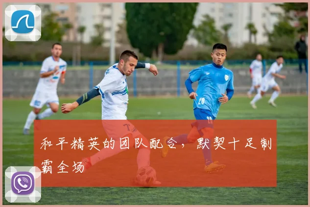 和平精英的团队配合，默契十足制霸全场